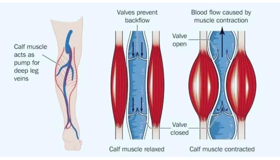 Physiotherapy clinic in Tambaram
Are you Looking f... main image