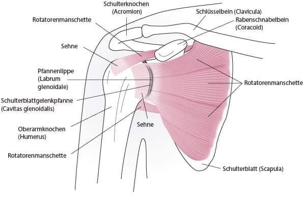 Physiotherapy clinic in Tambaram
Are you Looking f... main image