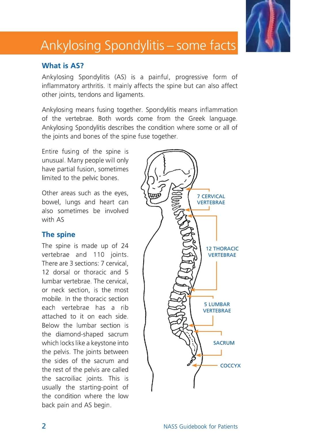 Physiotherapy clinic in Tambaram
Are you Looking f... main image