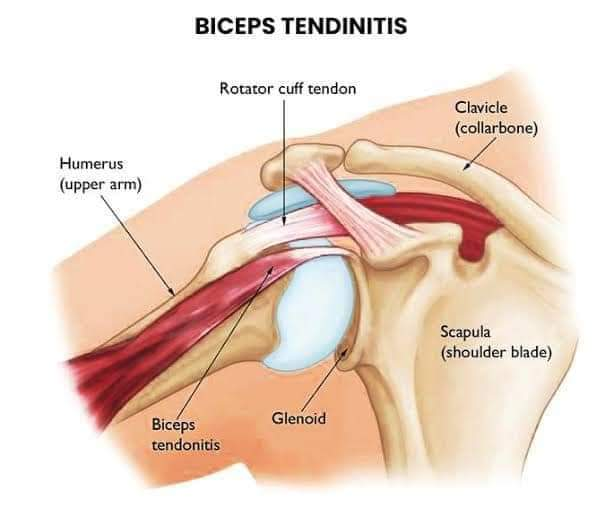 Physiotherapy clinic in Tambaram
Are you Lookin... main image