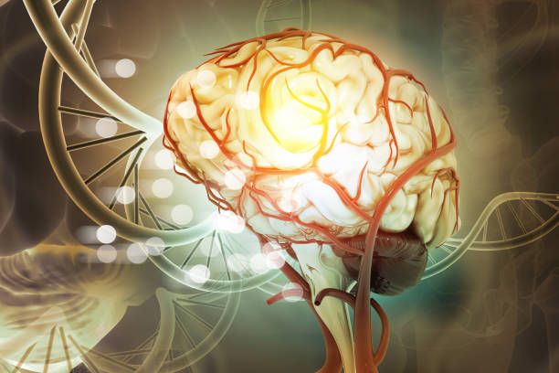 Pioneering Neurosurgery at Medinova Super Speciali... main image