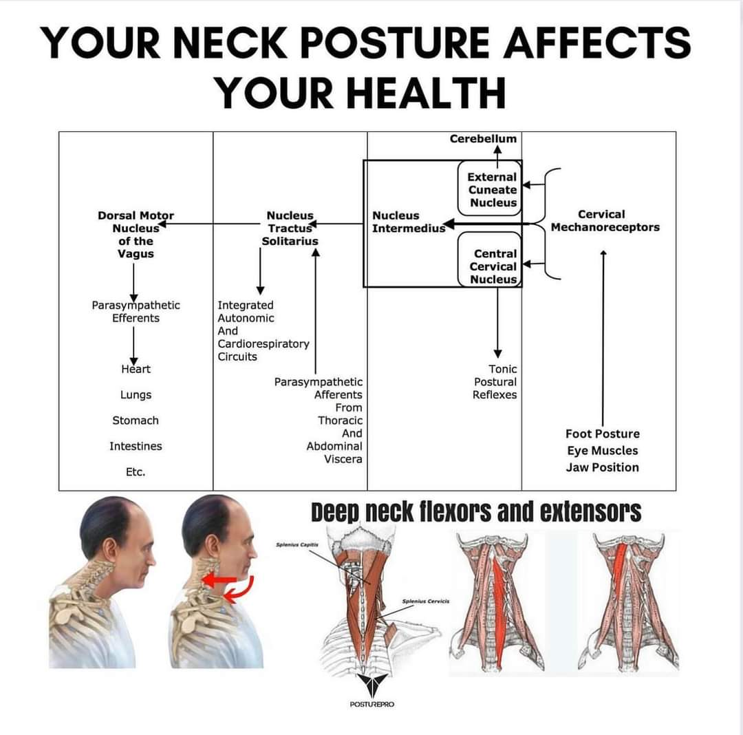 Physiotherapy clinic in Tambaram
Are you Looking f... main image