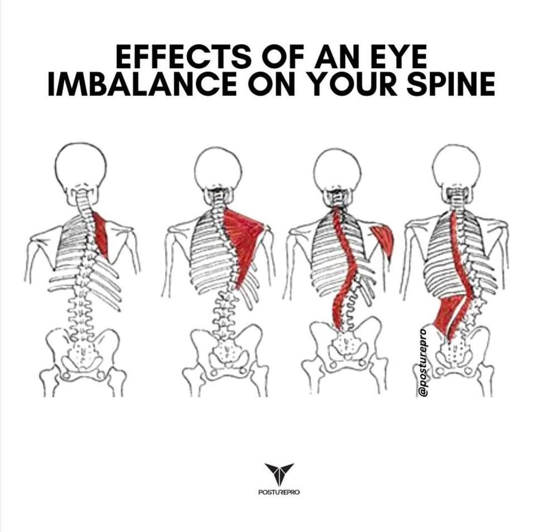 Physiotherapy clinic in Tambaram
Are you Looking f... main image