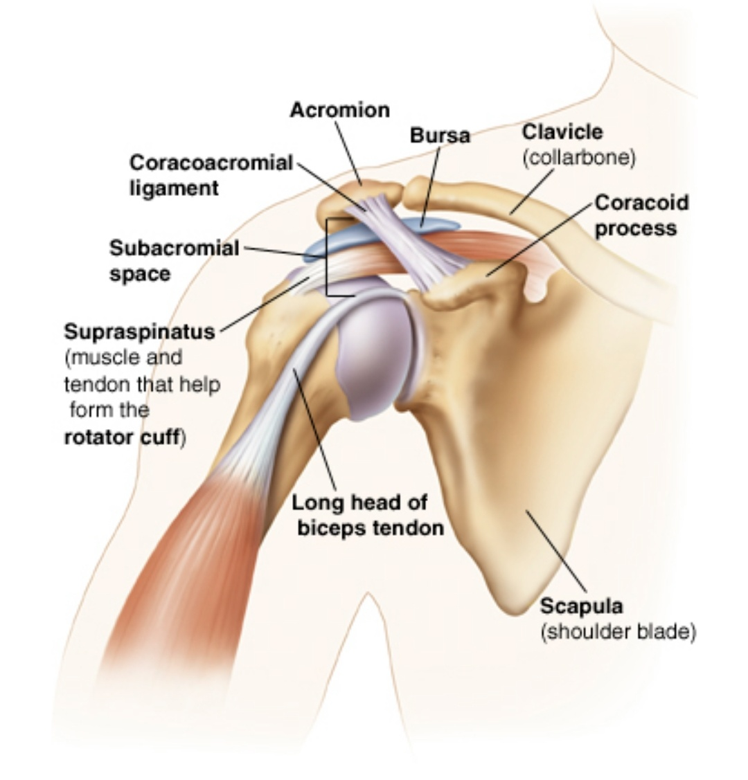 Physiotherapy clinic in Tambaram
Are you Lookin... main image