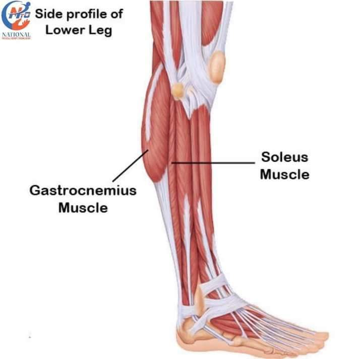 Physiotherapy clinic in Tambaram
Are you Looking f... main image