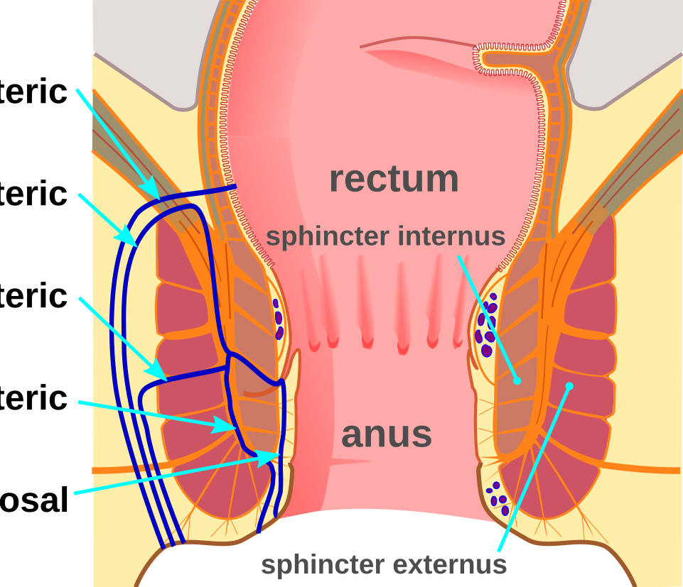 Fistula Causes:-
Most anal fistulas develop aft... main image
