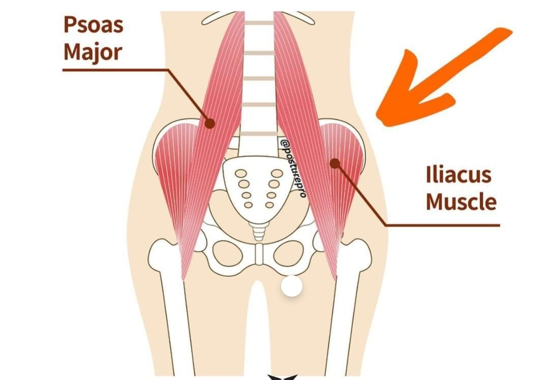 Physiotherapy clinic in Tambaram
Are you Looking f... main image