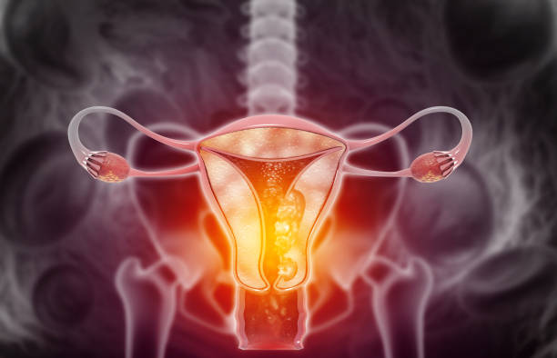 Gynecology Treatment In Nashik Mediliv Hospital... main image