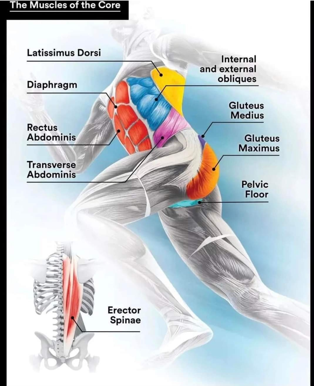 Physiotherapy clinic in Tambaram
Are you Looking f... main image