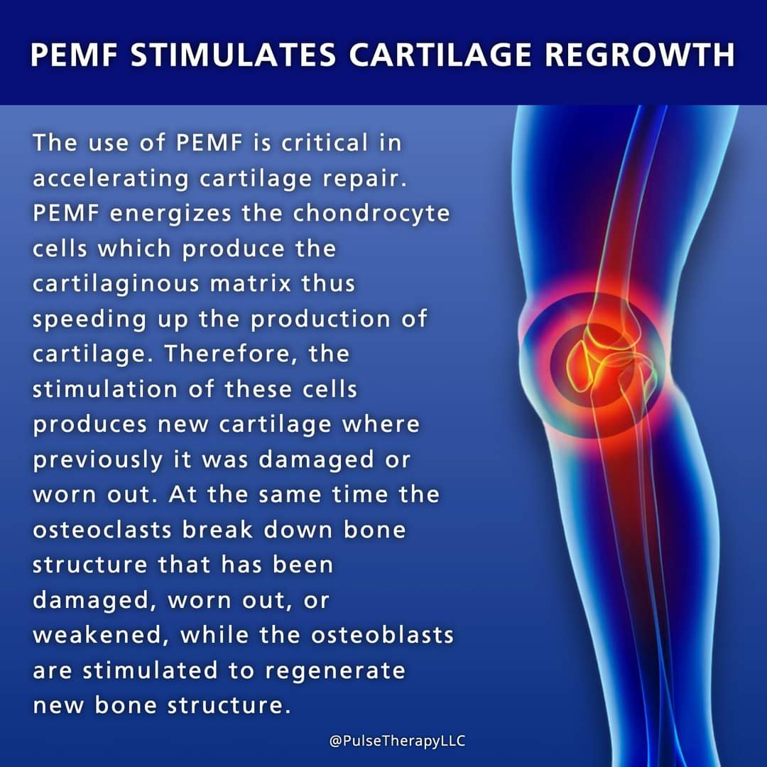 Physiotherapy clinic in Tambaram
Are you Looking f... main image