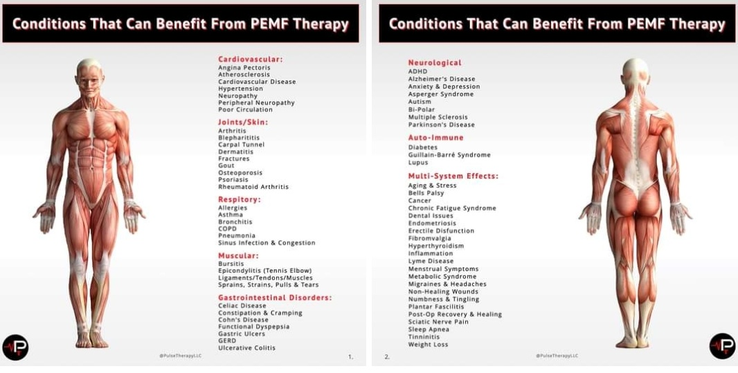 Physiotherapy clinic in Tambaram
Are you Looking f... main image