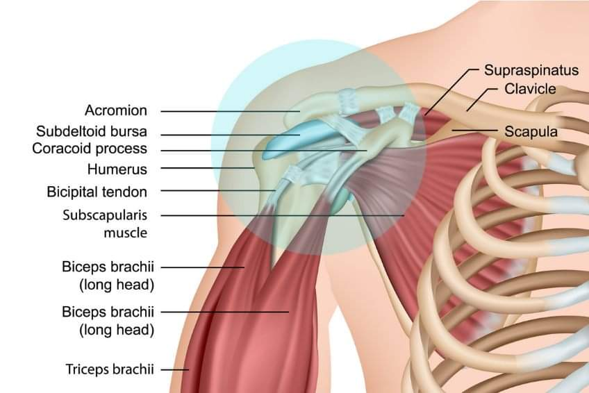Physiotherapy clinic in Tambaram
Are you Lookin... main image