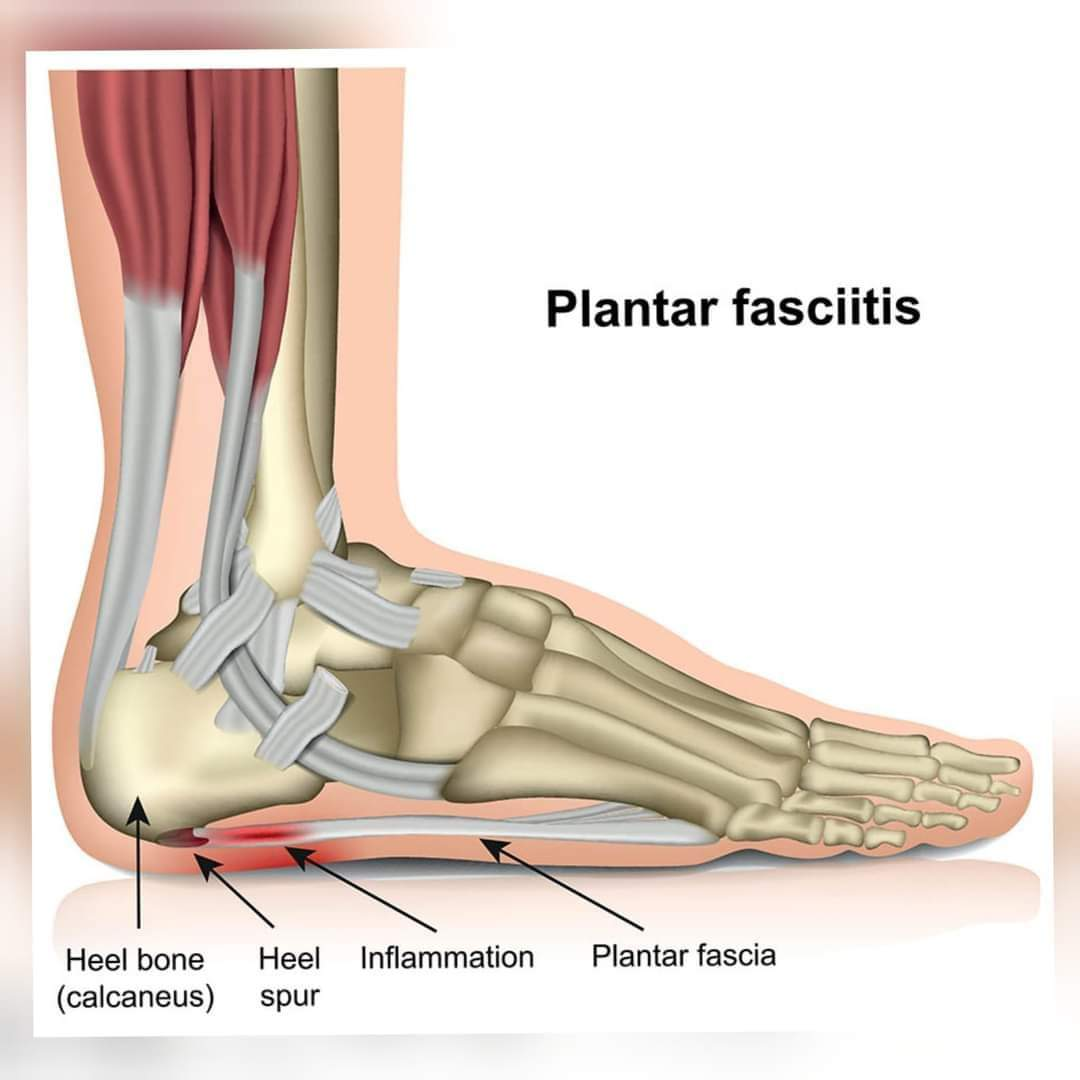Physiotherapy clinic in Tambaram
Are you Looking f... main image