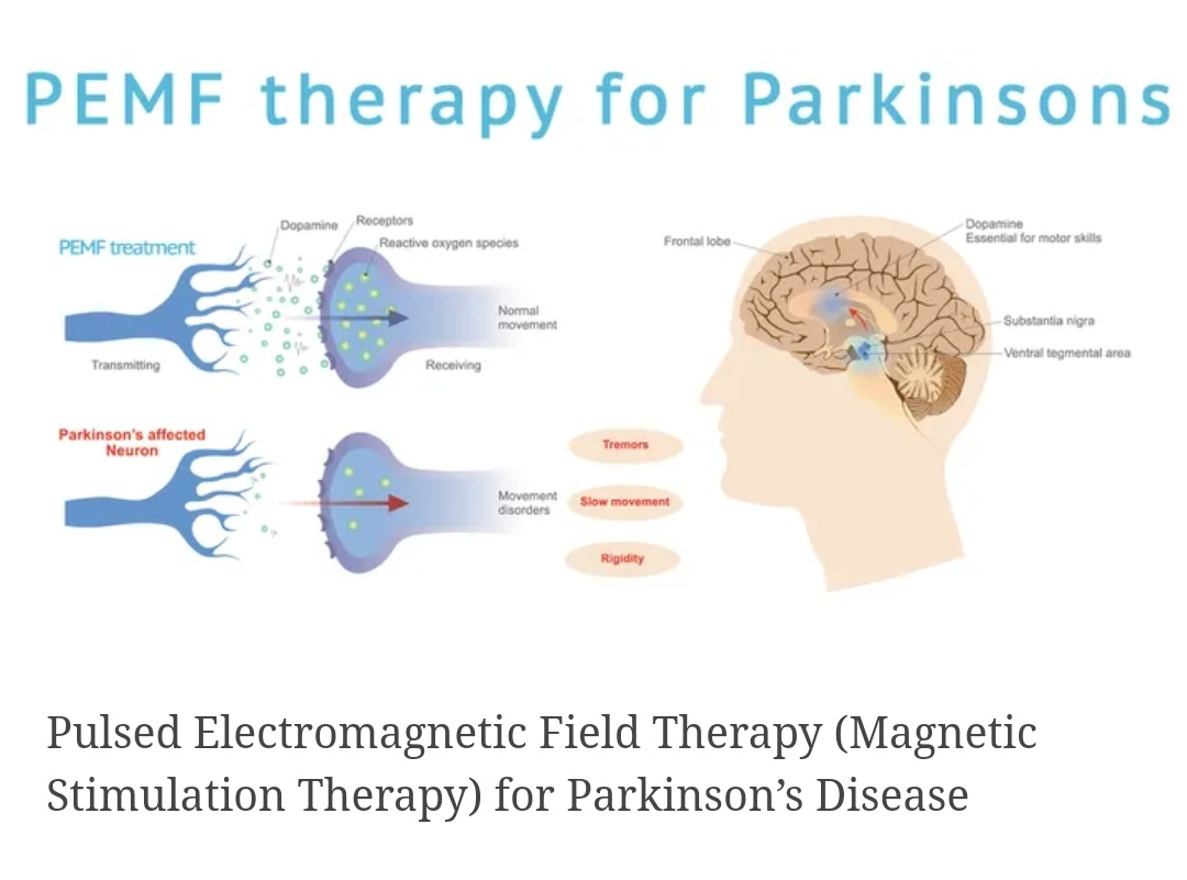 Physiotherapy clinic in Tambaram
Are you Looking f... main image