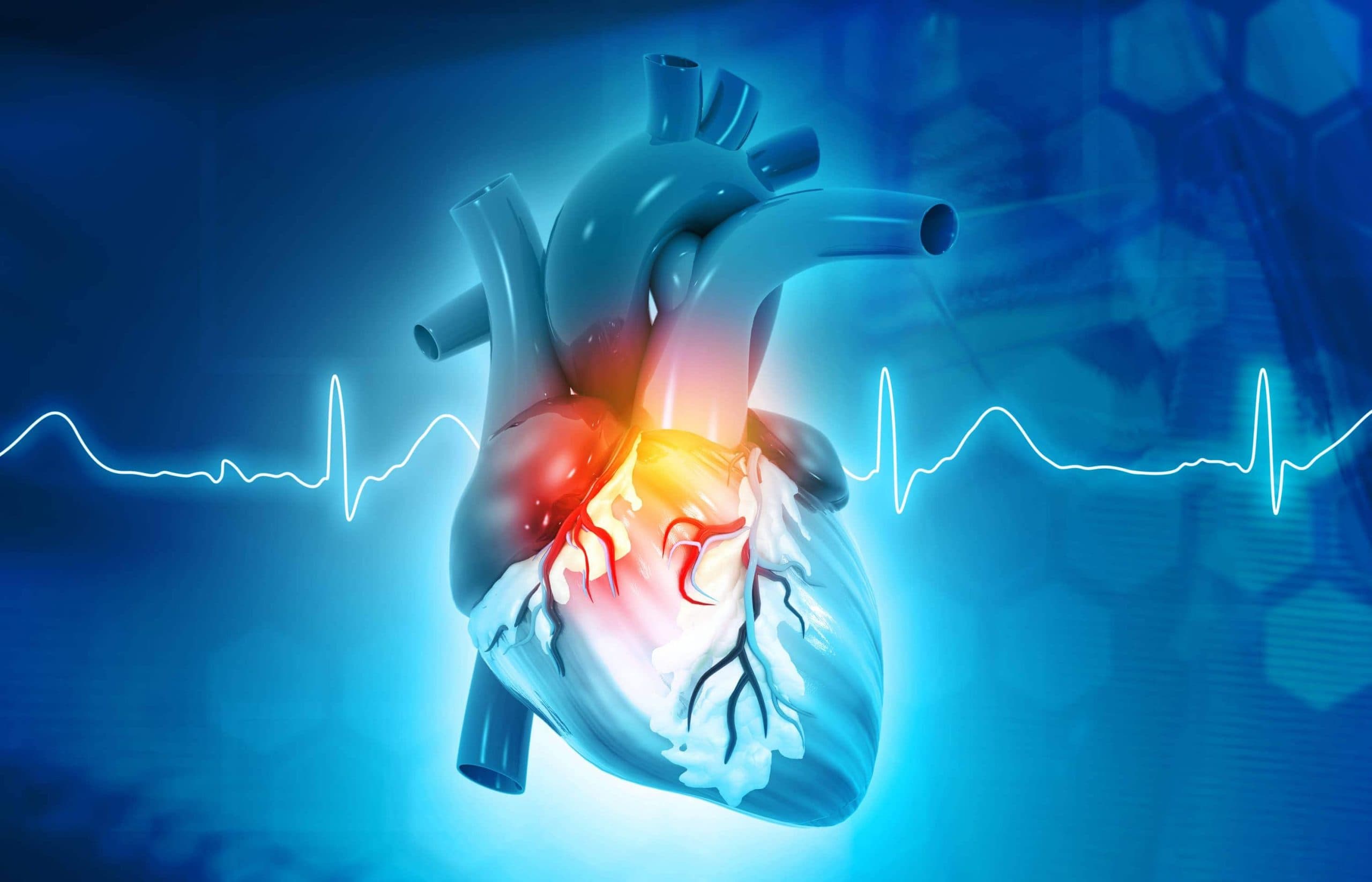 Need Cardiology Hospital in Wakad/Hinjewadi/PCM... main image