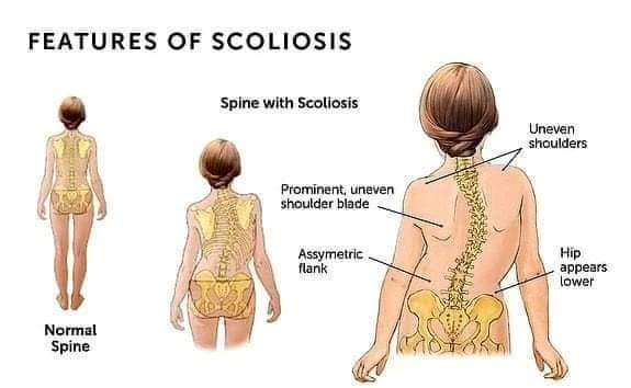 Physiotherapy clinic in Tambaram
Are you Looking f... main image