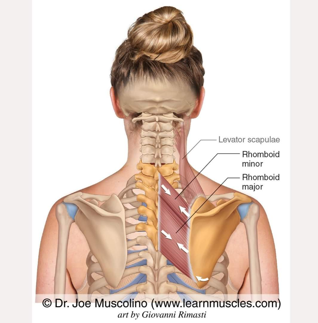 Physiotherapy clinic in Tambaram
Are you Looking f... main image