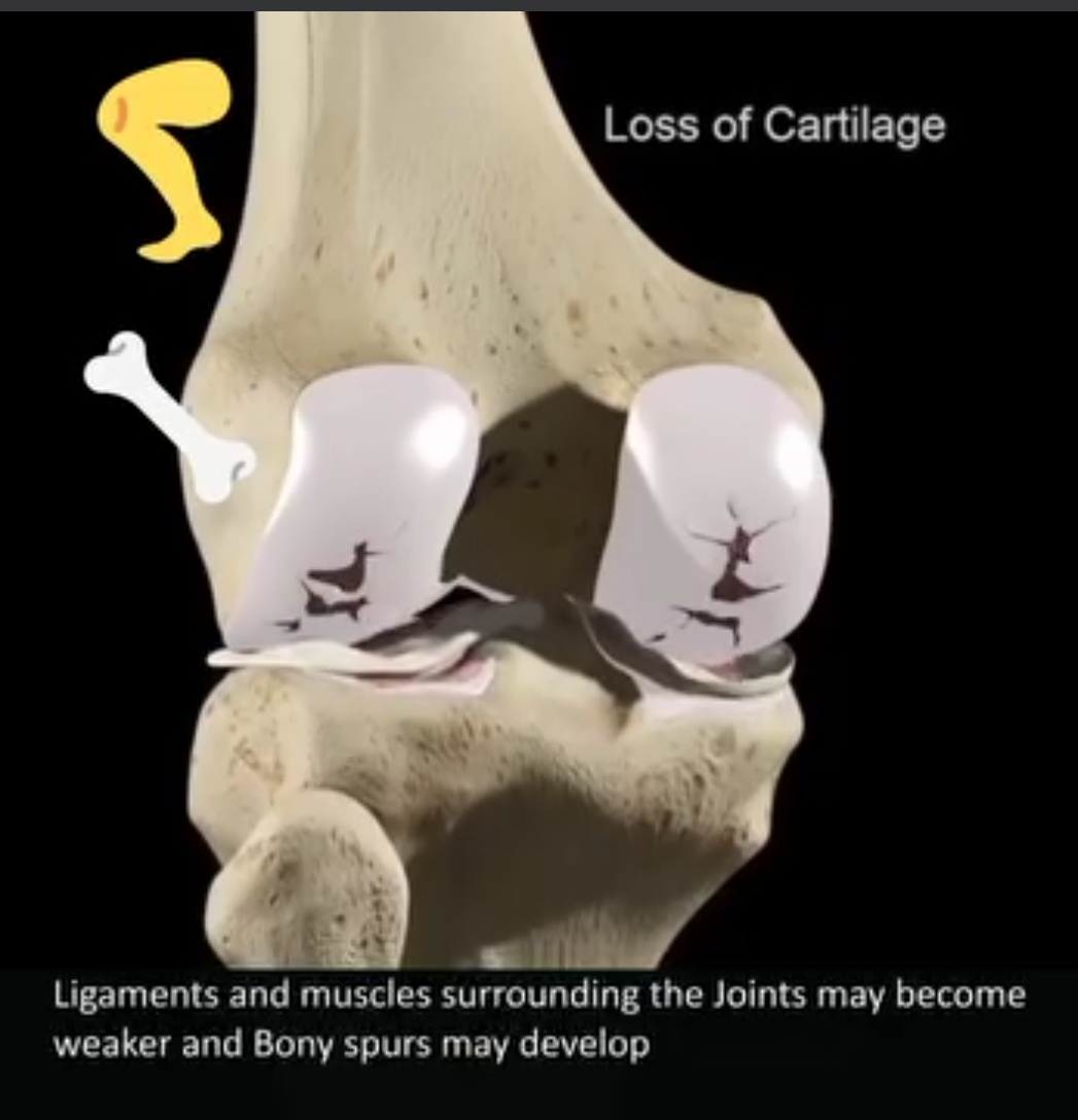 Physiotherapy clinic in Tambaram
Are you Looking f... main image