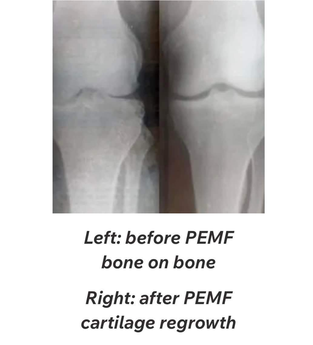 Physiotherapy clinic in Tambaram
Are you Lookin... main image