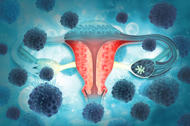 Empowering Women's Health: Gynecology Marvels a... main image