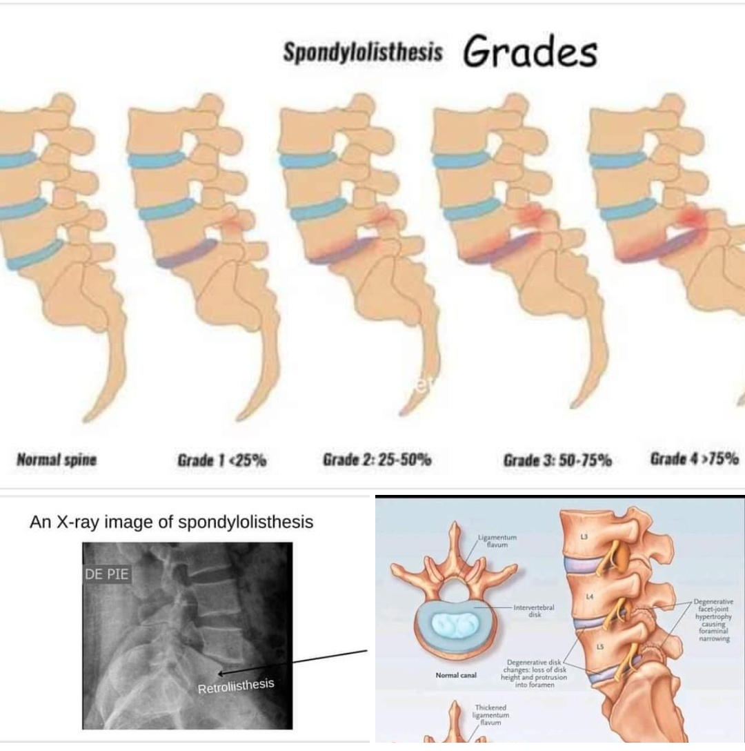 Physiotherapy clinic in Tambaram
Are you Lookin... main image