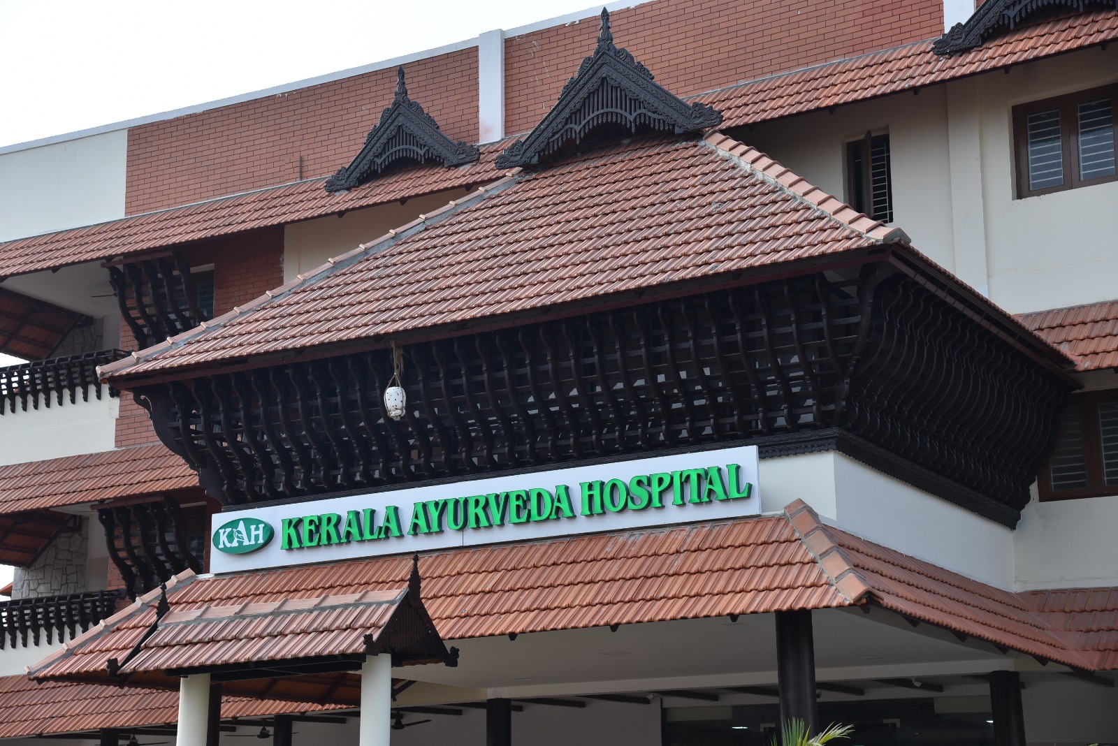 cervical disc pain treatments in kattur Kerala Ayurveda Hospital is