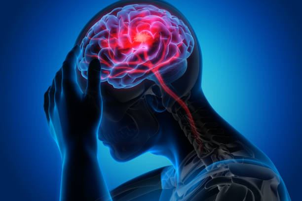Best Neurosurgery Services Near Me at Kothrud Hosp... main image
