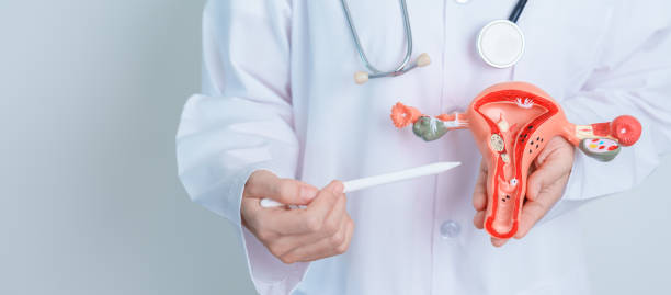 Comprehensive Gynecological Services at S A Hos... main image