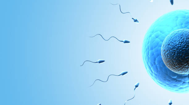 Infertility Treatment in Dwarka Nashik Mediliv ... main image