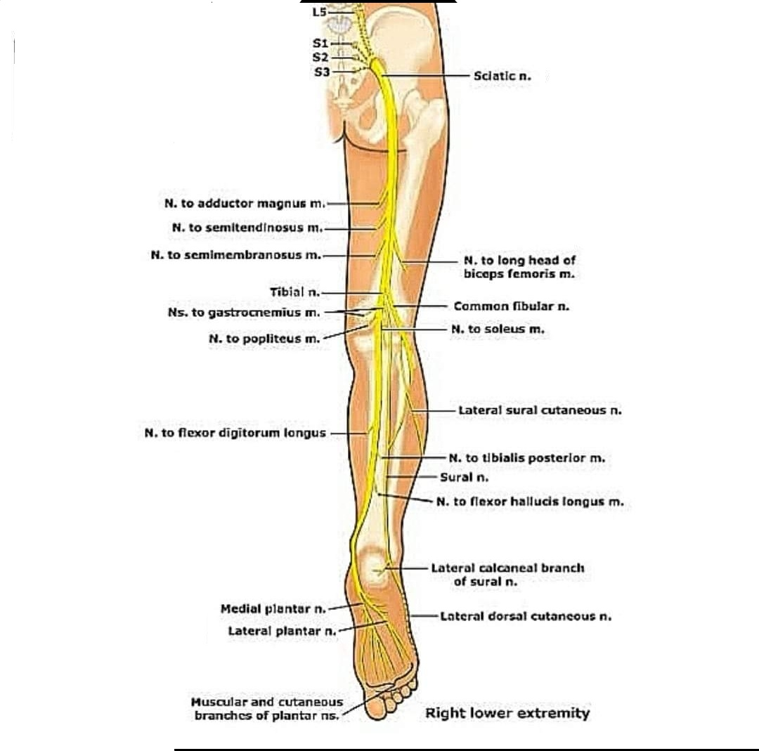 Physiotherapy clinic in Tambaram
Are you Looking f... main image