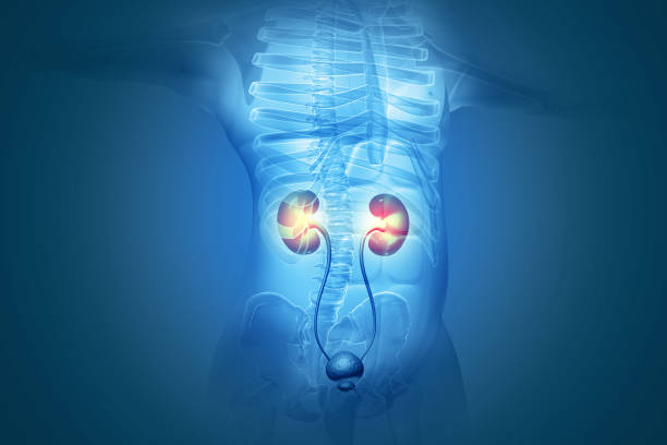 Lifeshell Hospital: Pioneering Excellence in Ur... main image