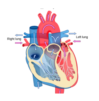Finding Cardiology Hospital in PCMC? Cardiology... main image