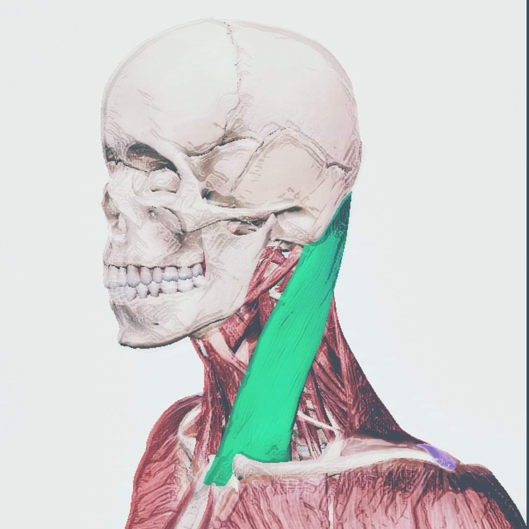 Physiotherapy clinic in Tambaram
Are you Looking f... main image