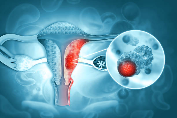 Lifeshell Hospital: Elevating Gynecology Care N... main image