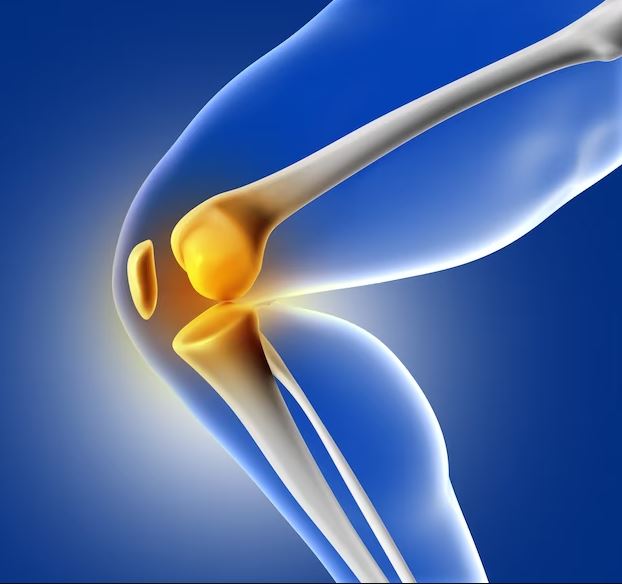 Comprehensive Orthopaedic Care at SA Hospital, ... main image