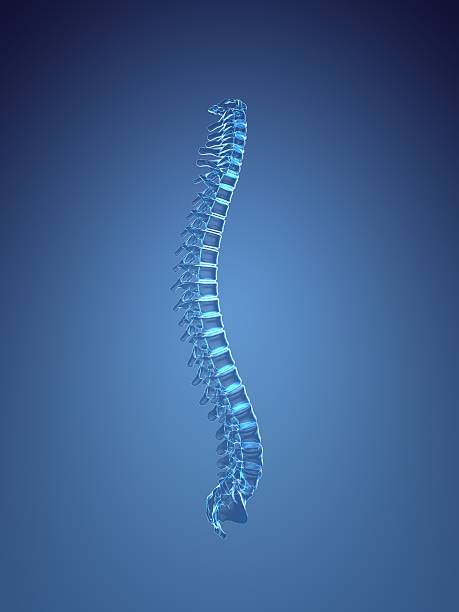 In-Depth Insights: Advancing in Spine Care and ... main image