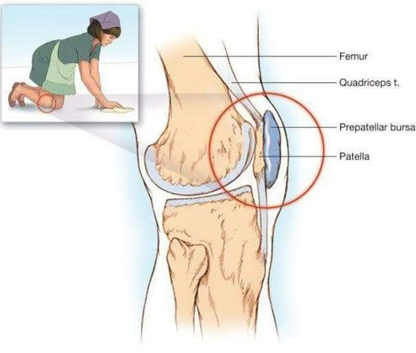 Physiotherapy clinic in Tambaram
Are you Looking f... main image