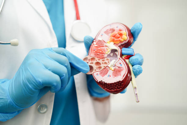 Multispecialty Healthcare at LifeShell Hospital... main image