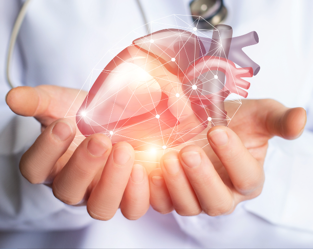Cardiac Care Unveiled: Medinova's Commitment to He... main image
