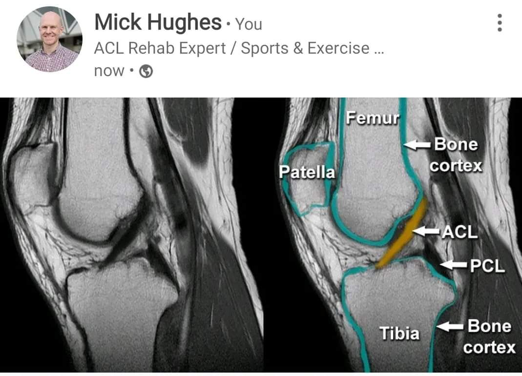 Physiotherapy clinic in Tambaram
Are you Looking f... main image