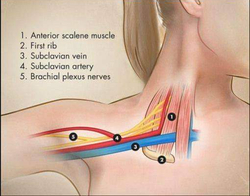 Physiotherapy clinic in Tambaram
Are you Looking f... main image