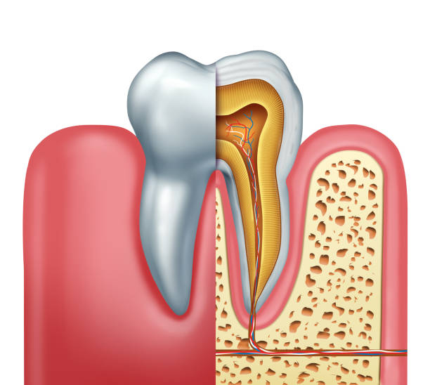 Painless RCT: Your Guide to Root Canal Treatment a... main image