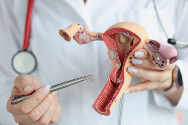 Comprehensive Gynecological Services: Ensuring ... main image