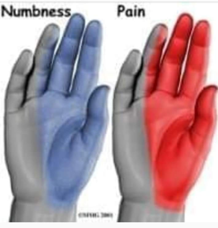 Physiotherapy clinic in Tambaram
Are you Lookin... main image