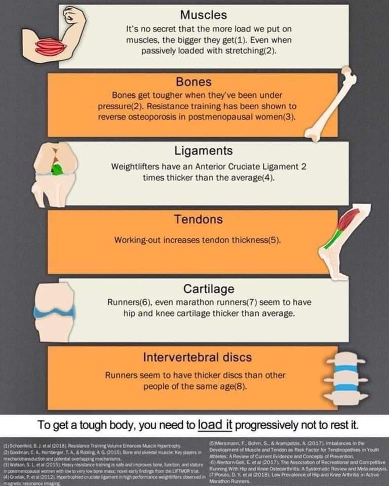 Physiotherapy clinic in Tambaram
Are you Looking f... main image