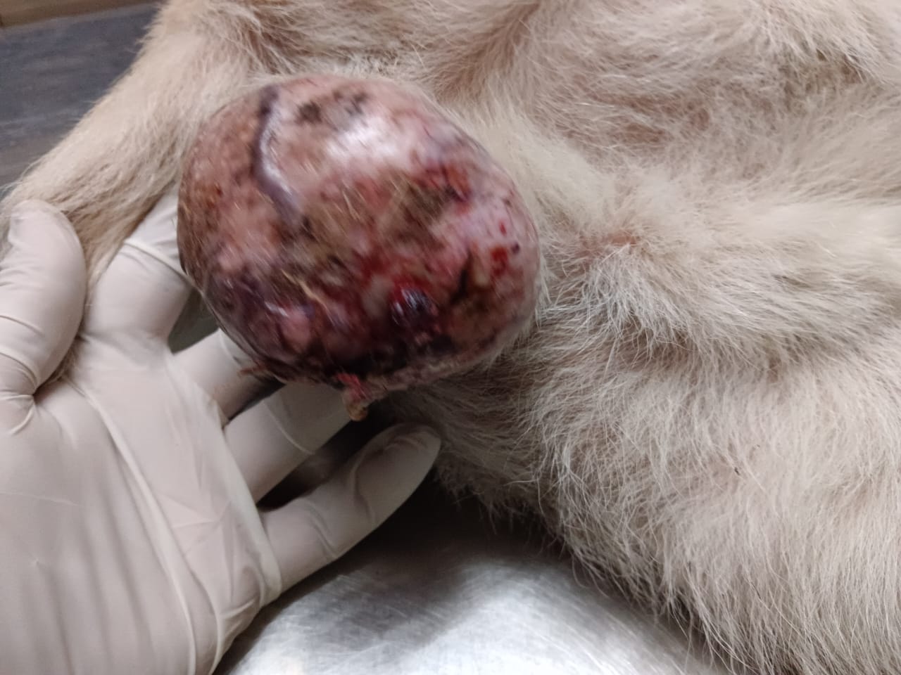 update image