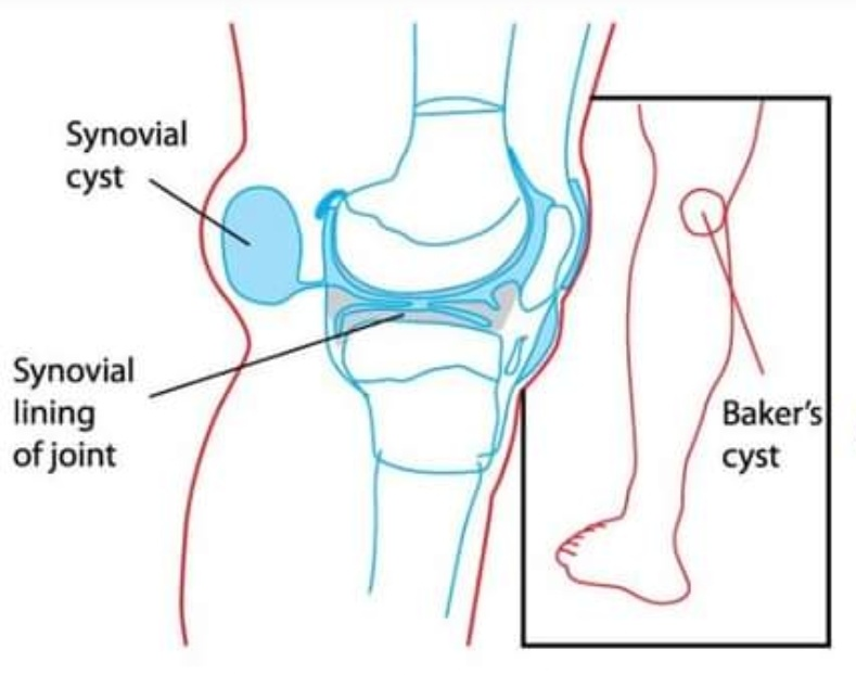 Physiotherapy clinic in Tambaram
Are you Looking f... main image