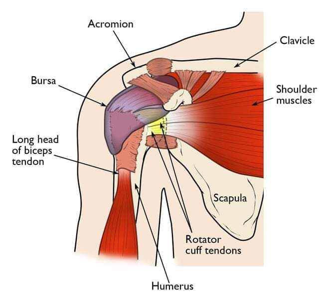 Physiotherapy clinic in Tambaram
Are you Lookin... main image