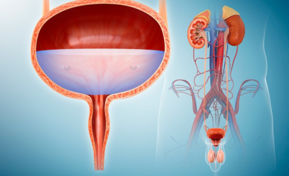 Urology Mastery: Medinova's Specialized Approach M... main image