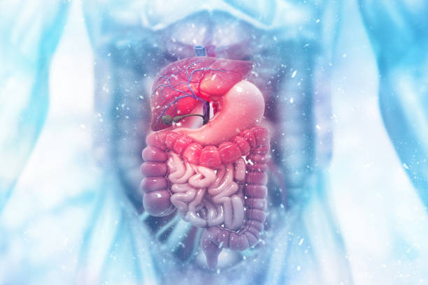 Advanced Digestive Health Solutions: S A Hospit... main image